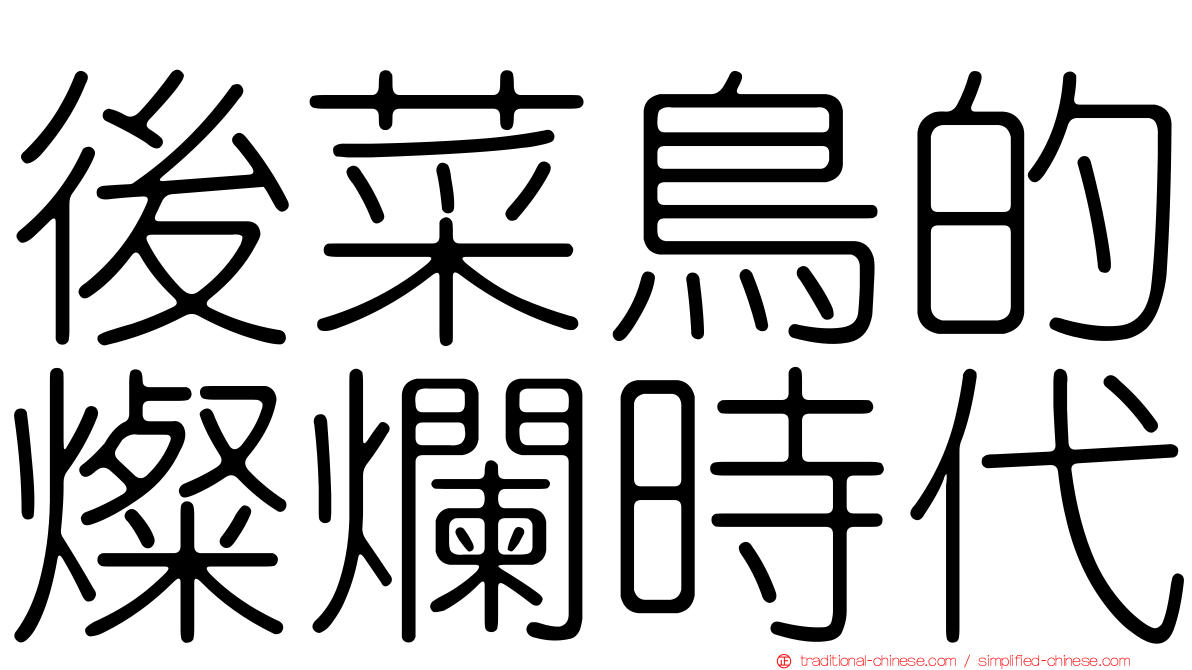 後菜鳥的燦爛時代