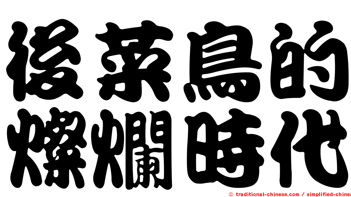 後菜鳥的燦爛時代