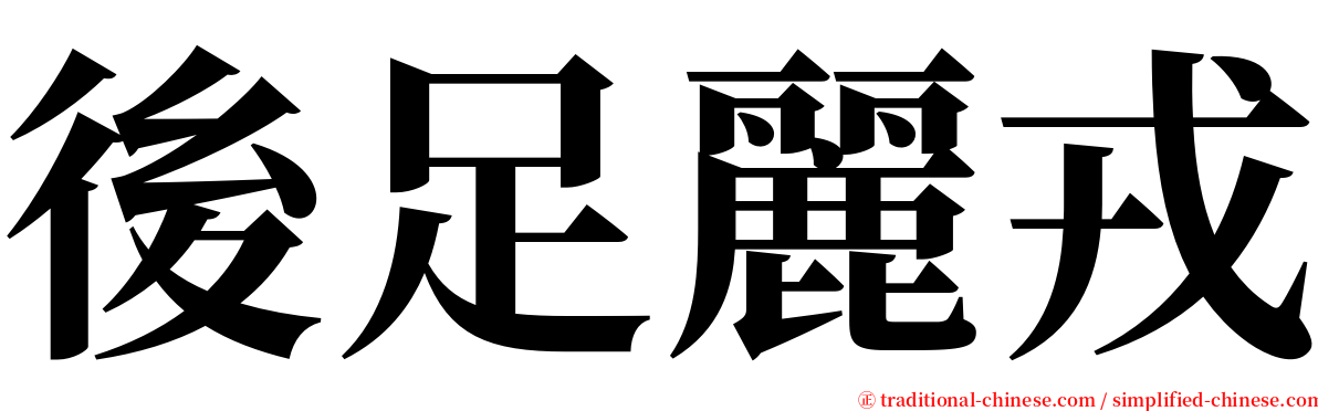 後足麗戎 serif font