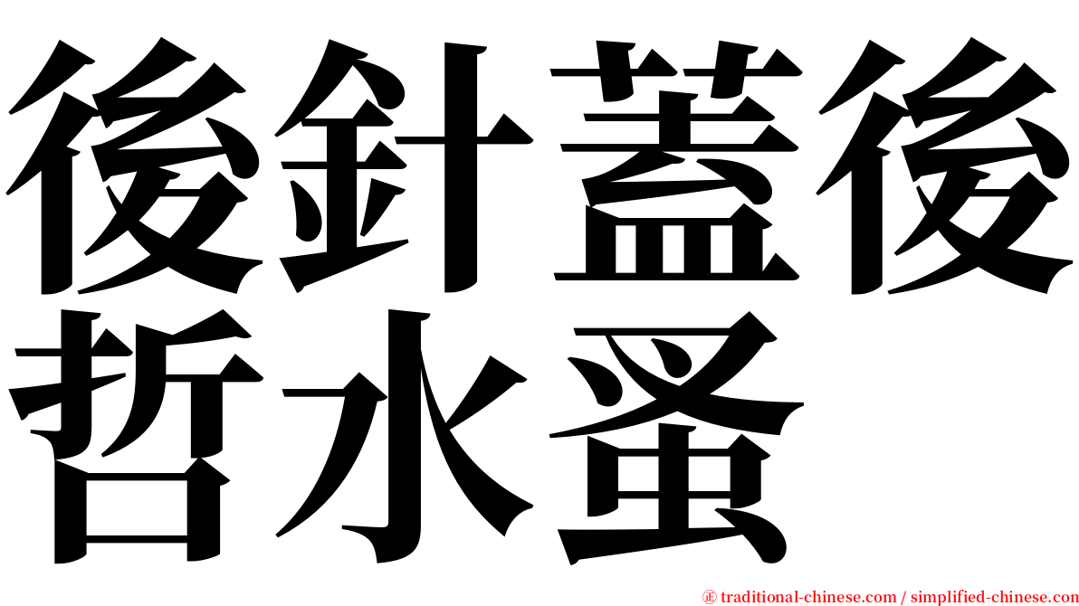 後針蓋後哲水蚤 serif font