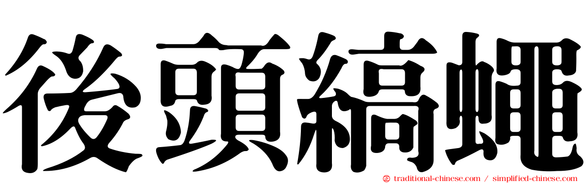 後頭縞蠅