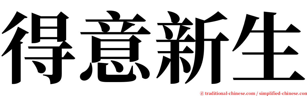 得意新生 serif font
