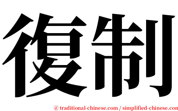 復制 serif font