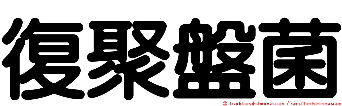 復聚盤菌