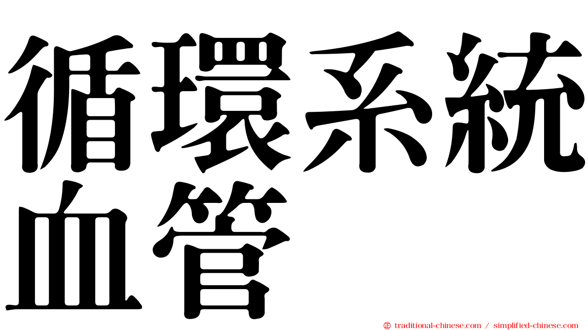循環系統血管
