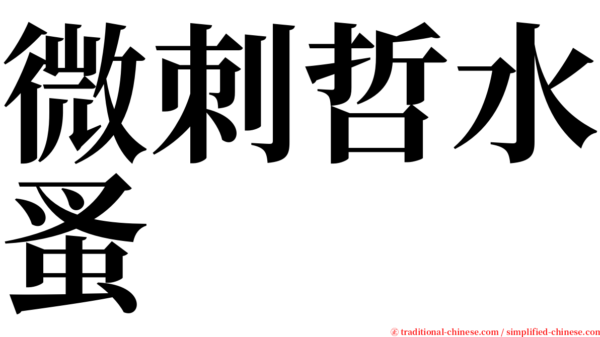 微刺哲水蚤 serif font