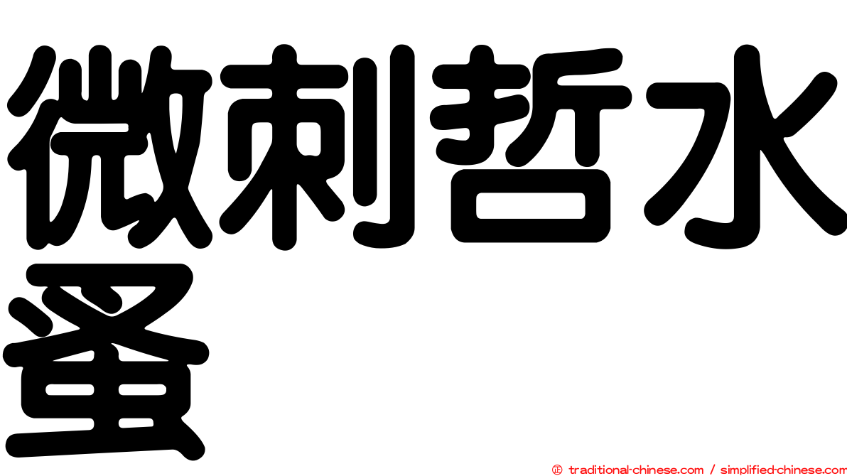 微刺哲水蚤