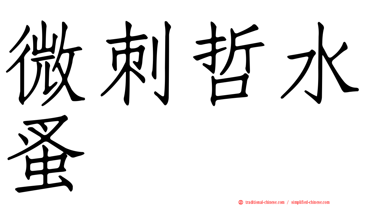 微刺哲水蚤