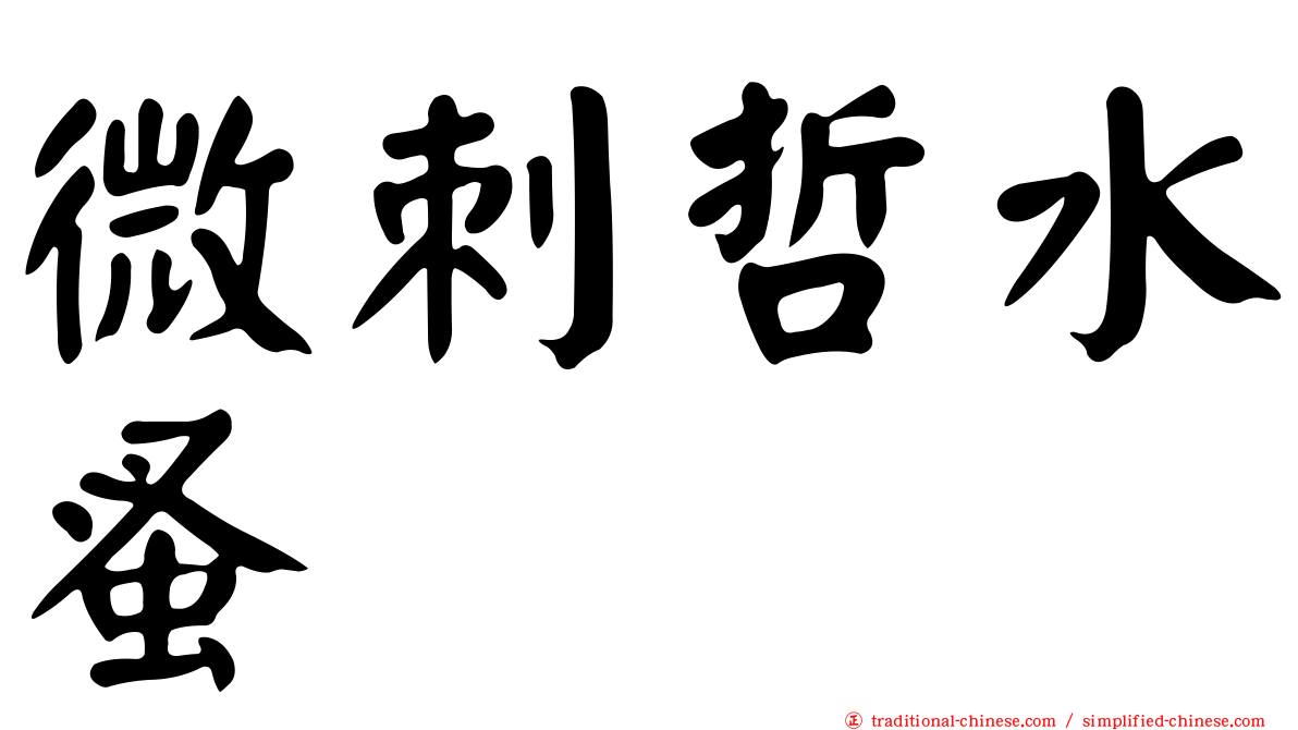 微刺哲水蚤