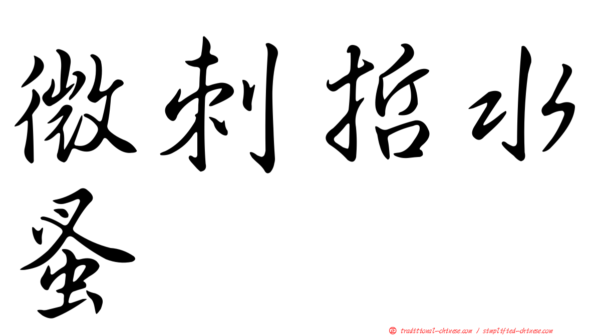 微刺哲水蚤