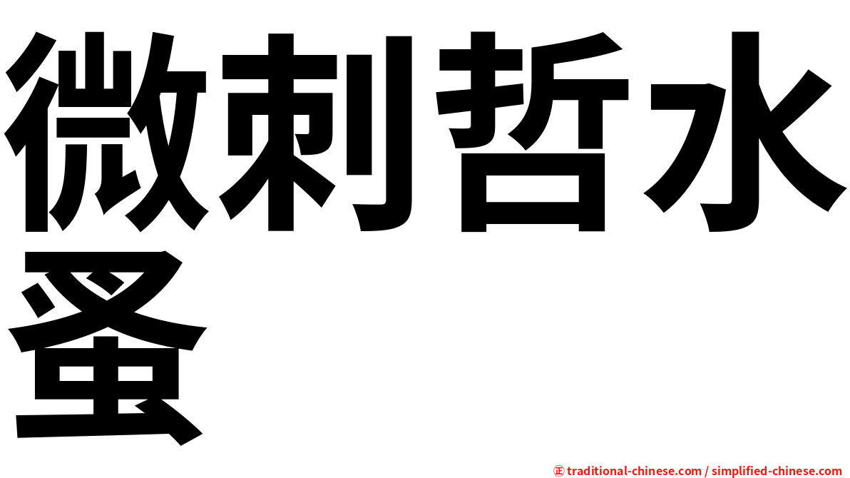 微刺哲水蚤