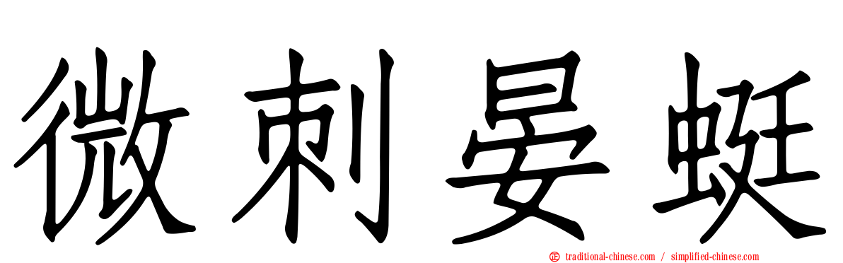 微刺晏蜓