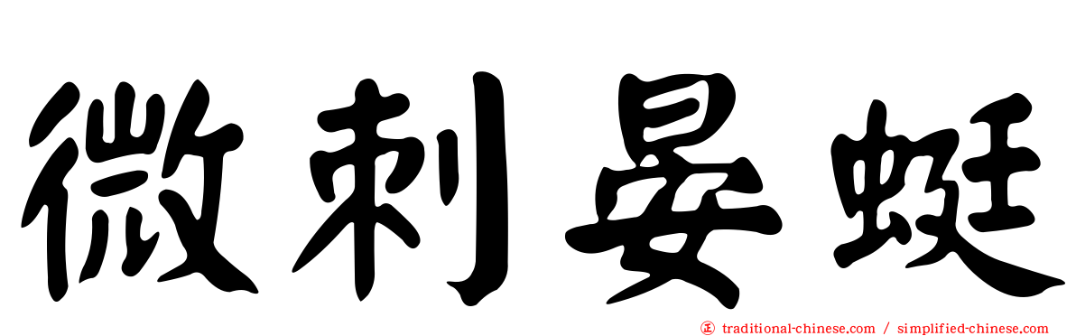微刺晏蜓