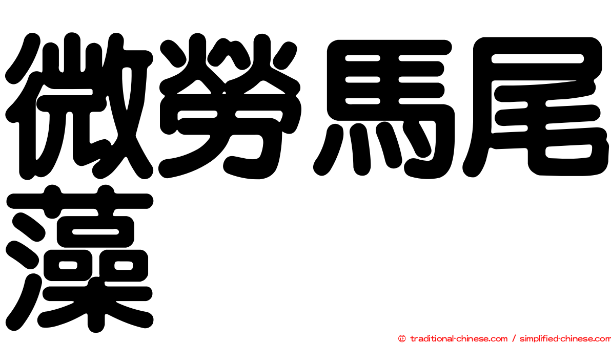 微勞馬尾藻