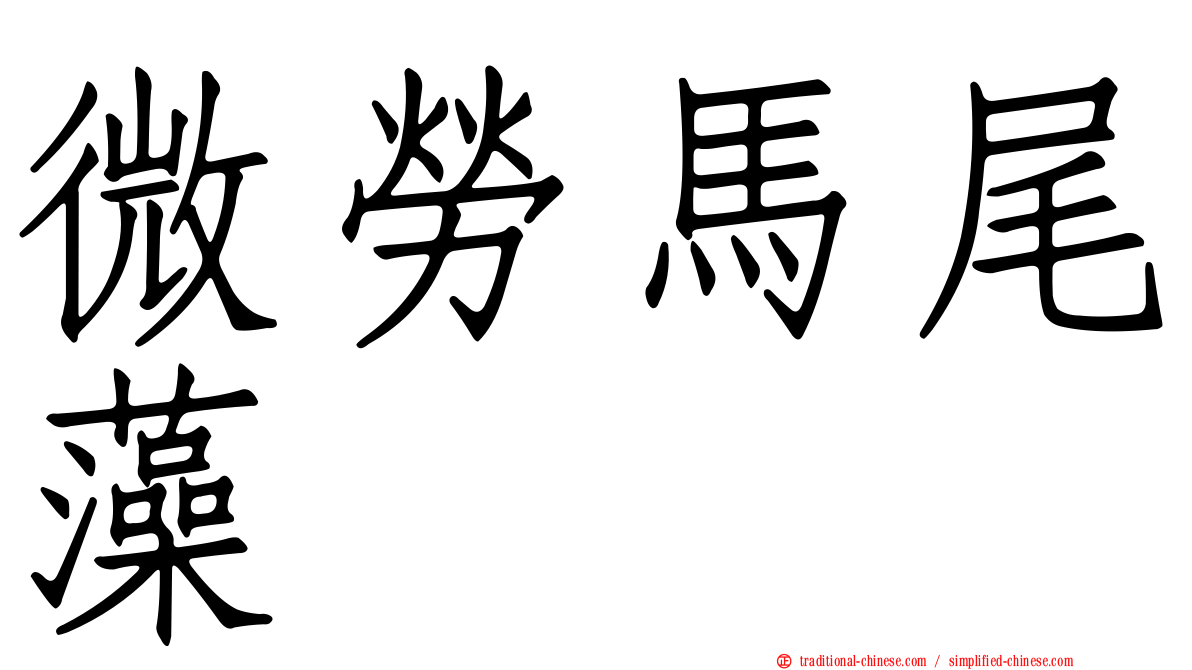微勞馬尾藻