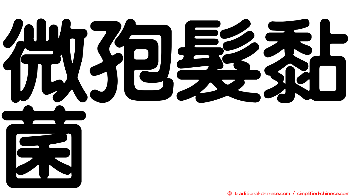微孢髮黏菌