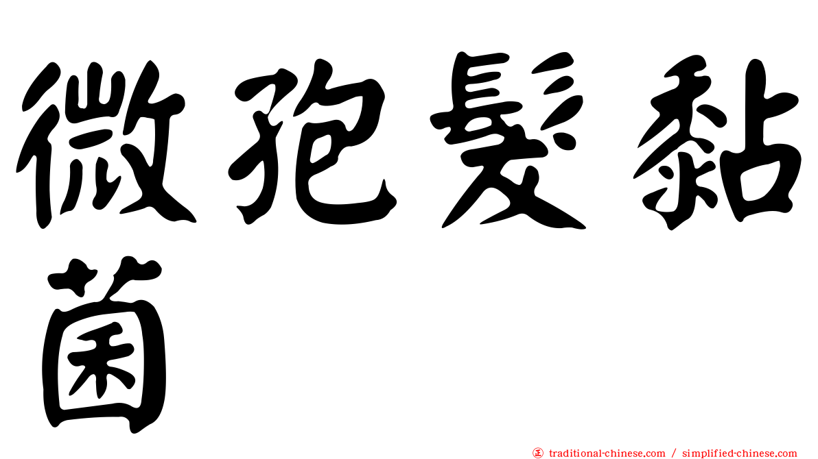微孢髮黏菌