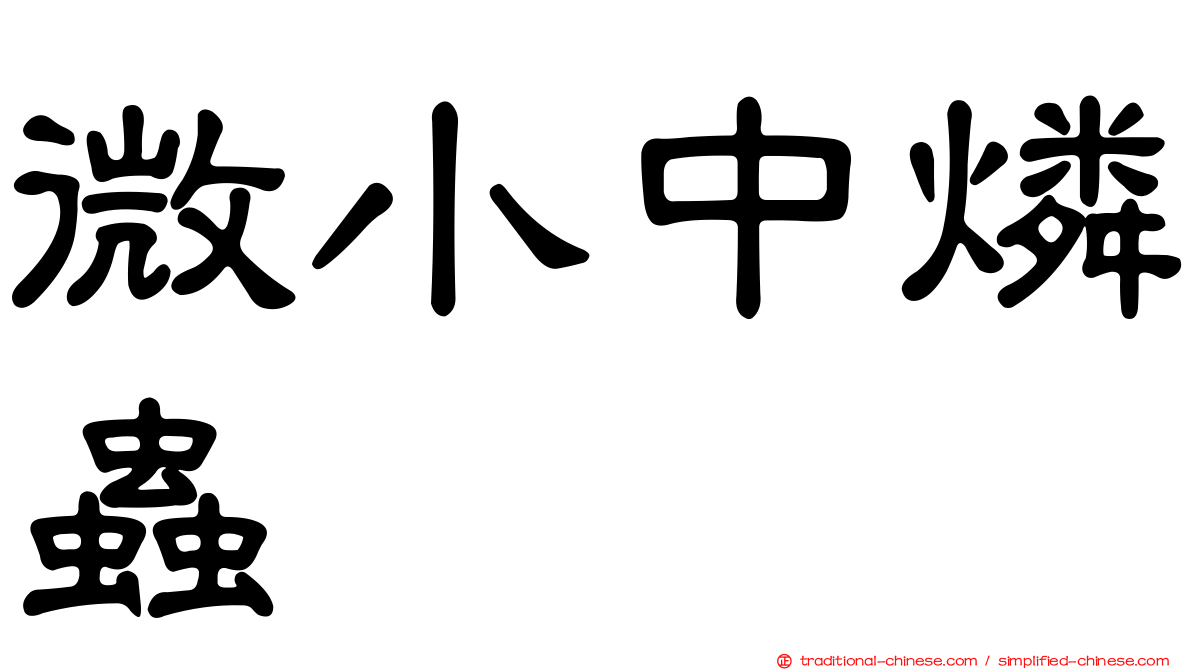 微小中燐蟲