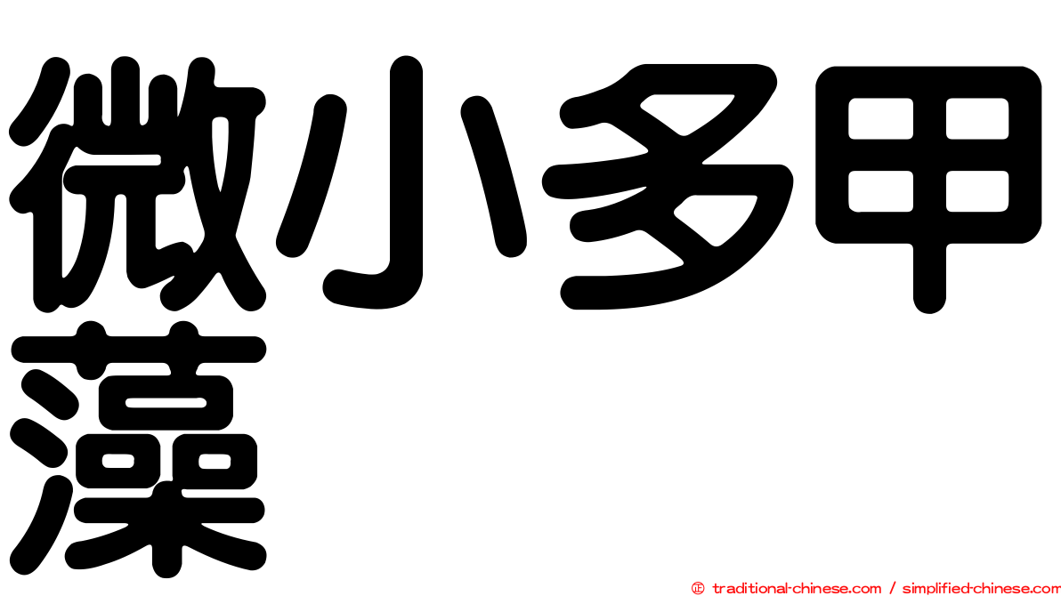 微小多甲藻