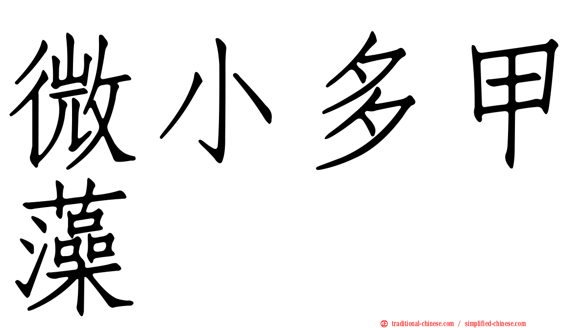 微小多甲藻