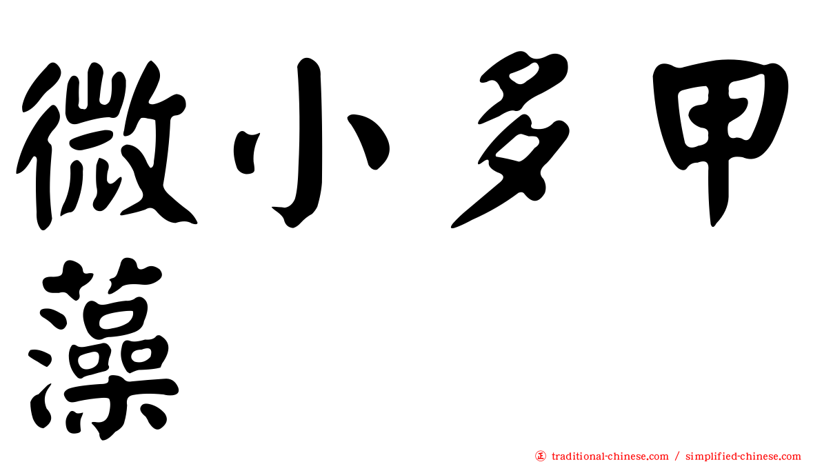 微小多甲藻