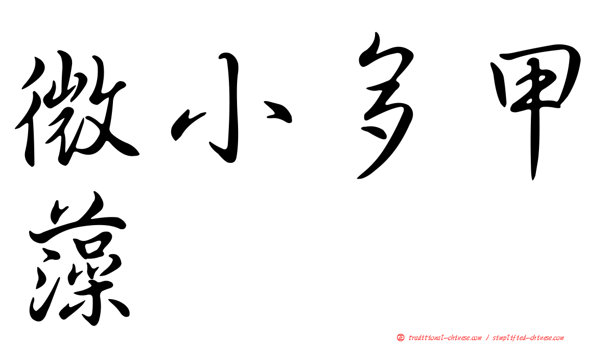 微小多甲藻