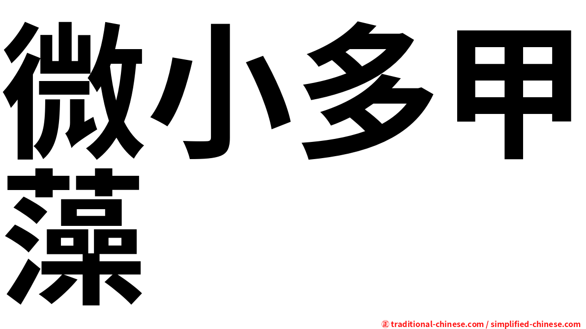 微小多甲藻