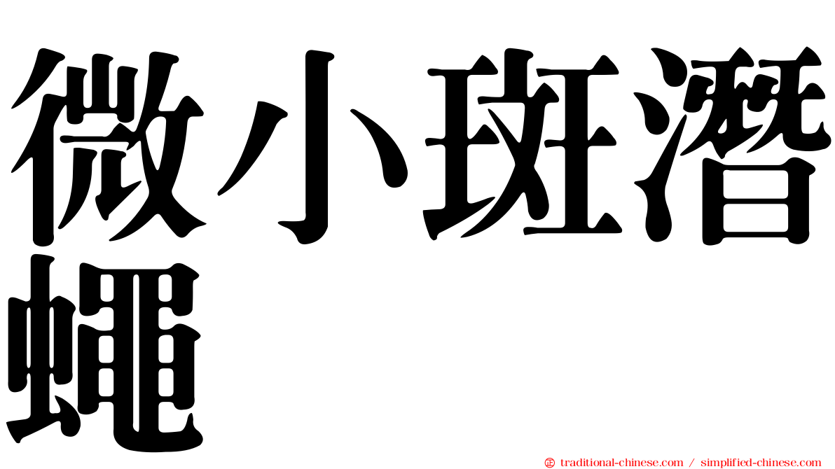 微小斑潛蠅