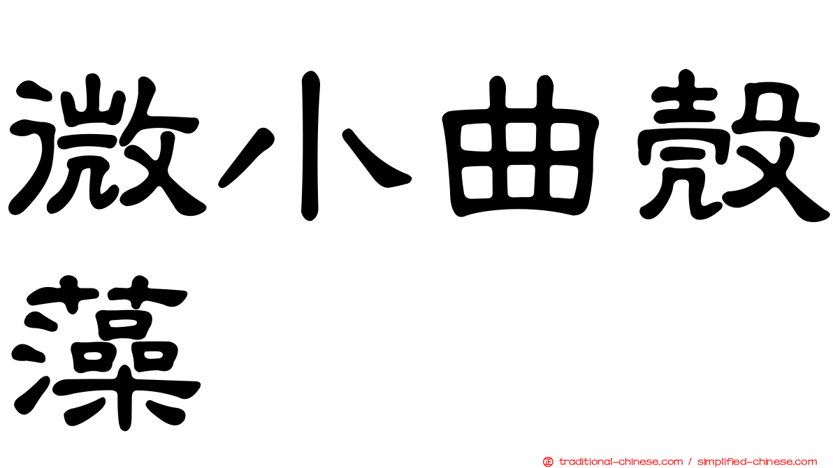 微小曲殼藻