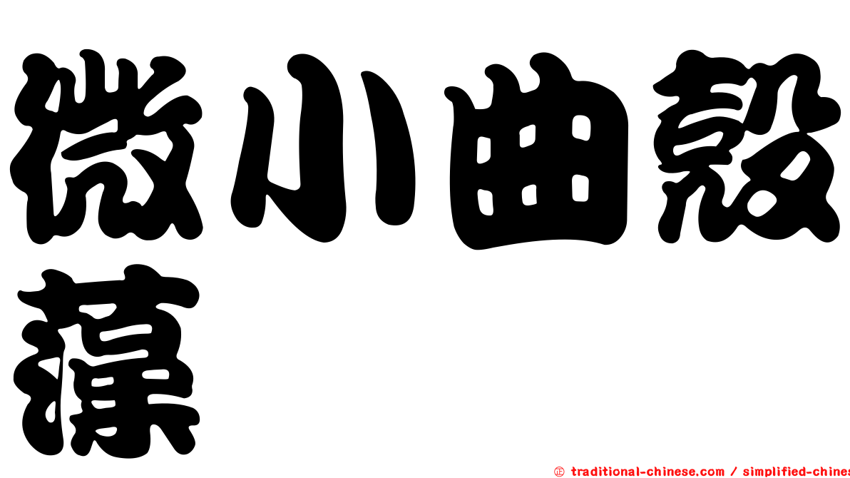 微小曲殼藻