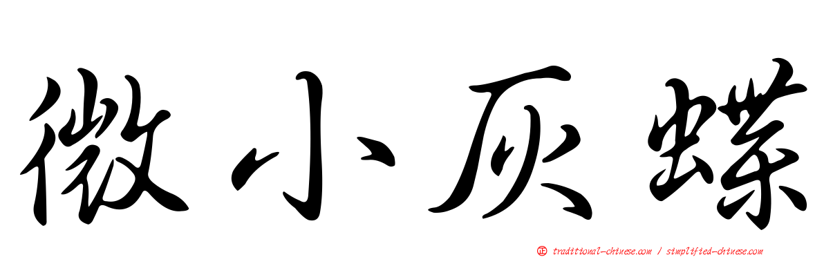 微小灰蝶
