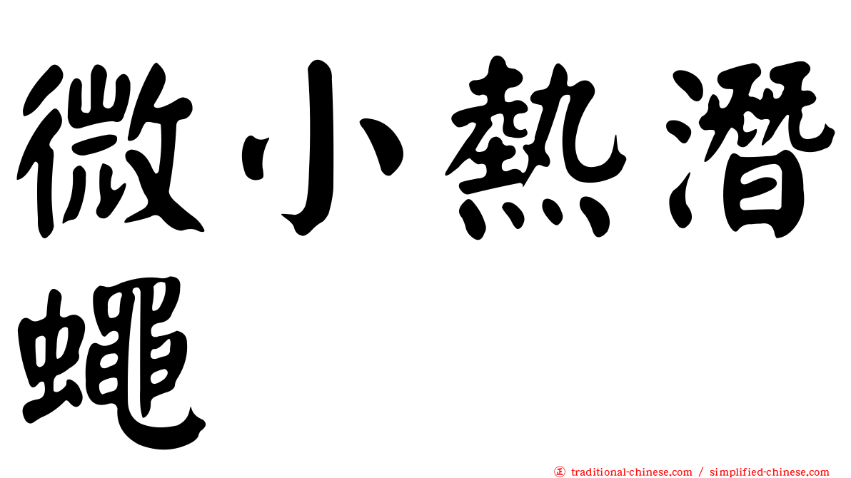 微小熱潛蠅