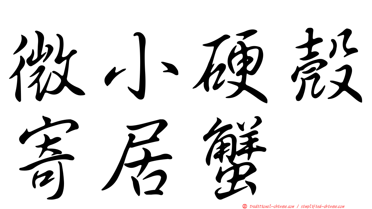 微小硬殼寄居蟹