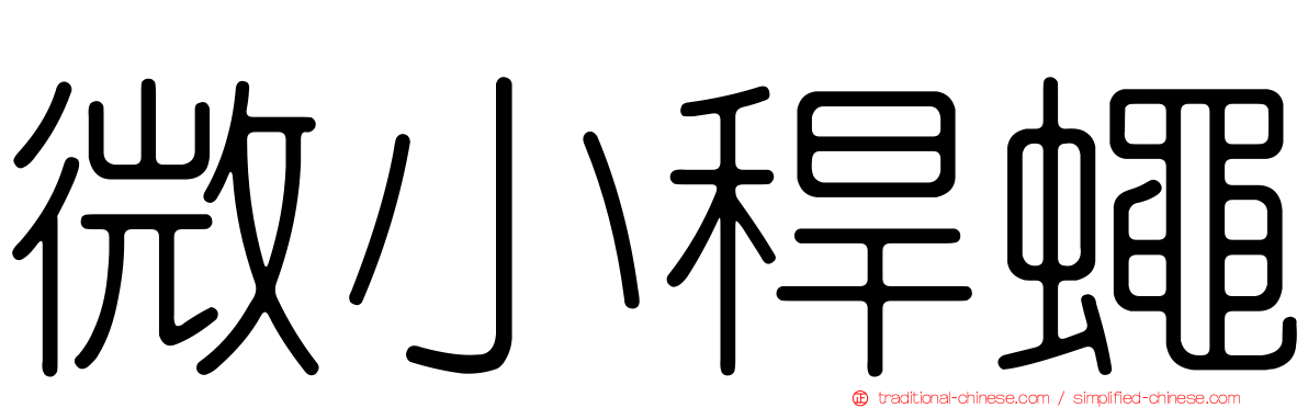 微小稈蠅