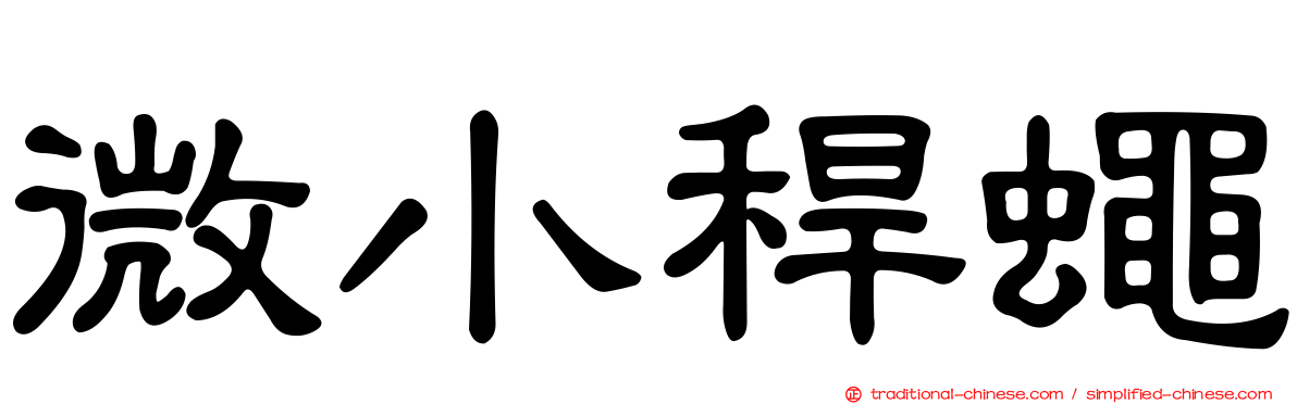 微小稈蠅