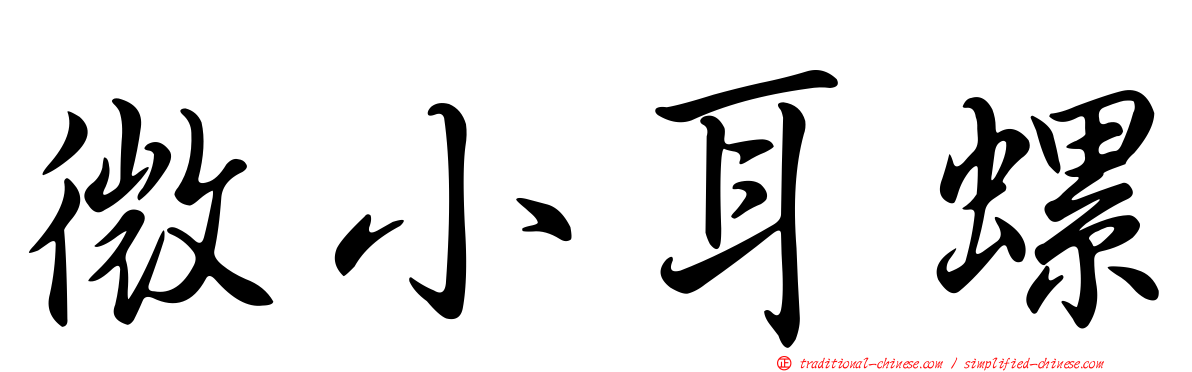 微小耳螺
