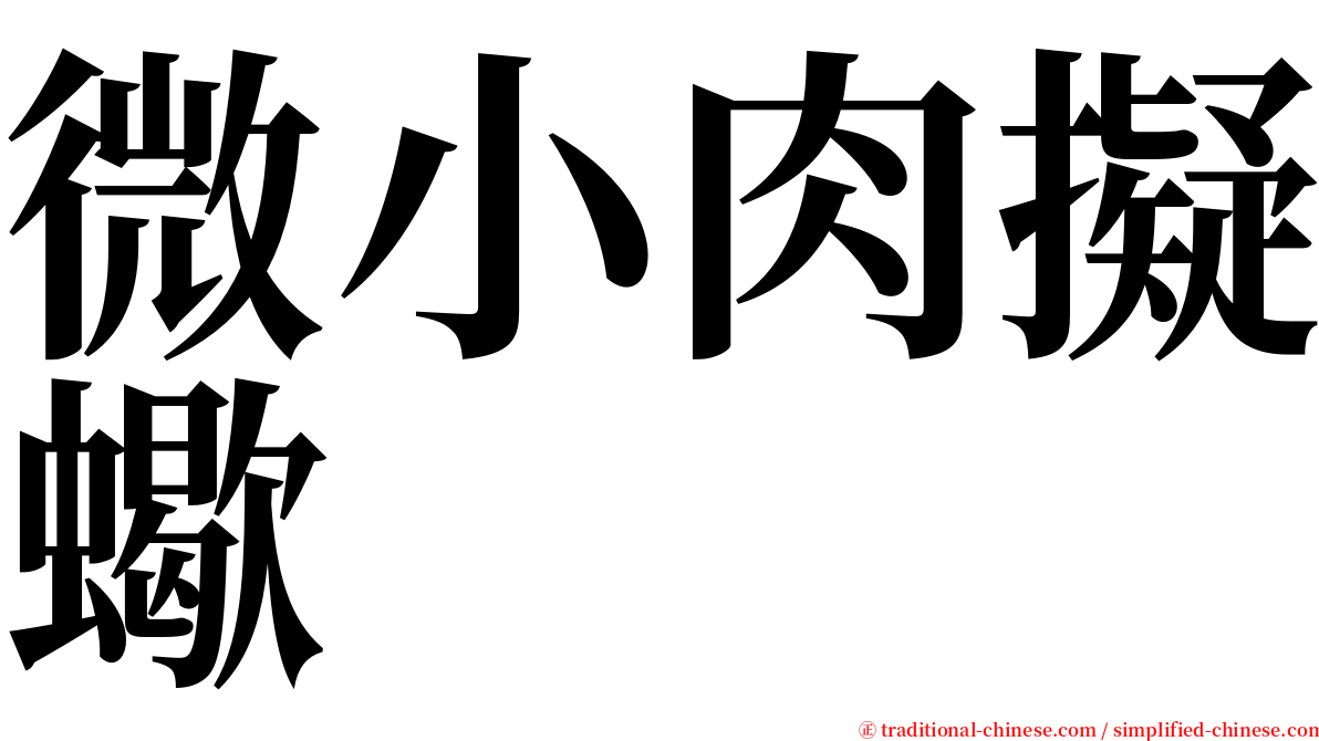 微小肉擬蠍 serif font