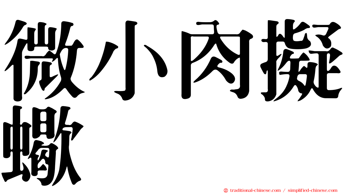 微小肉擬蠍