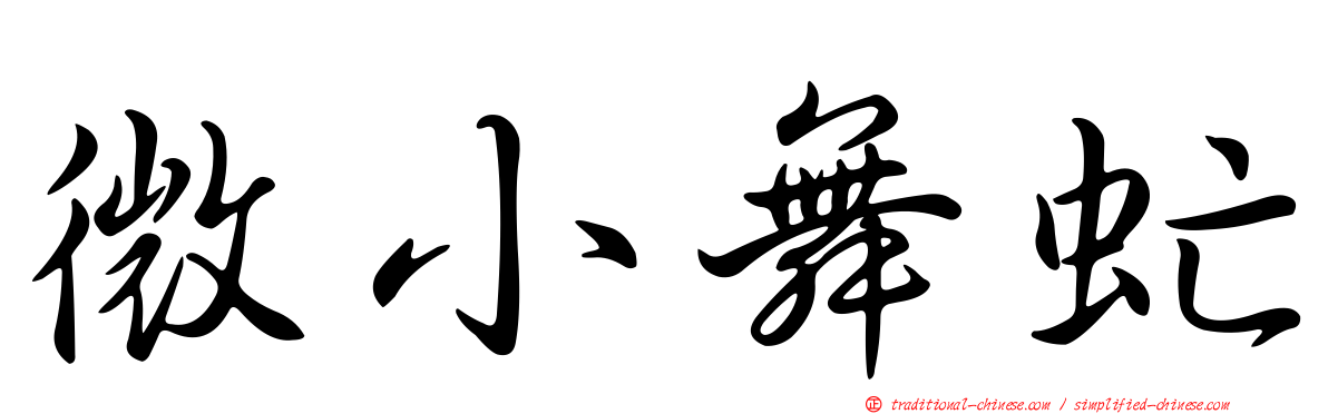 微小舞虻