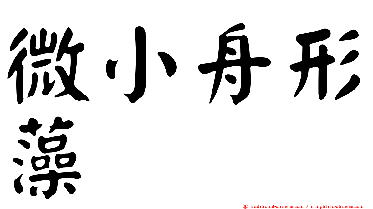 微小舟形藻