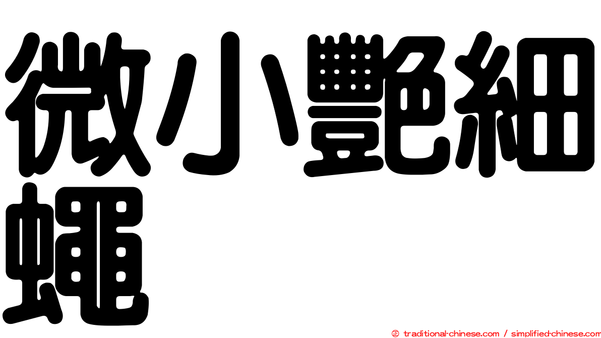 微小艷細蠅