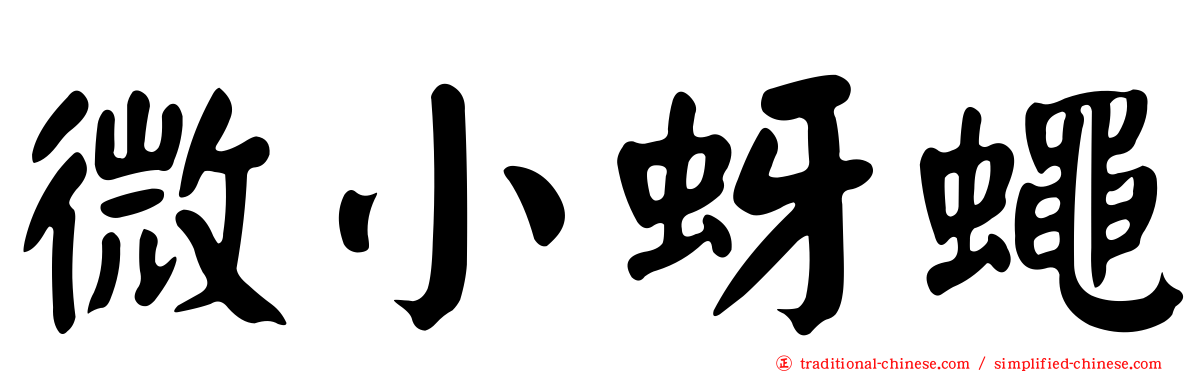 微小蚜蠅