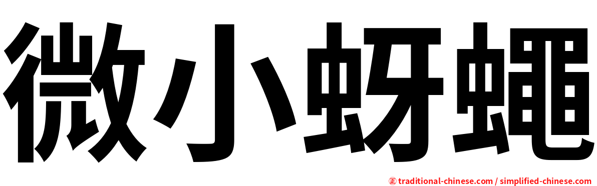 微小蚜蠅