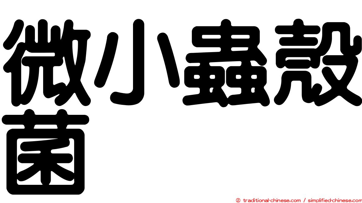 微小蟲殼菌