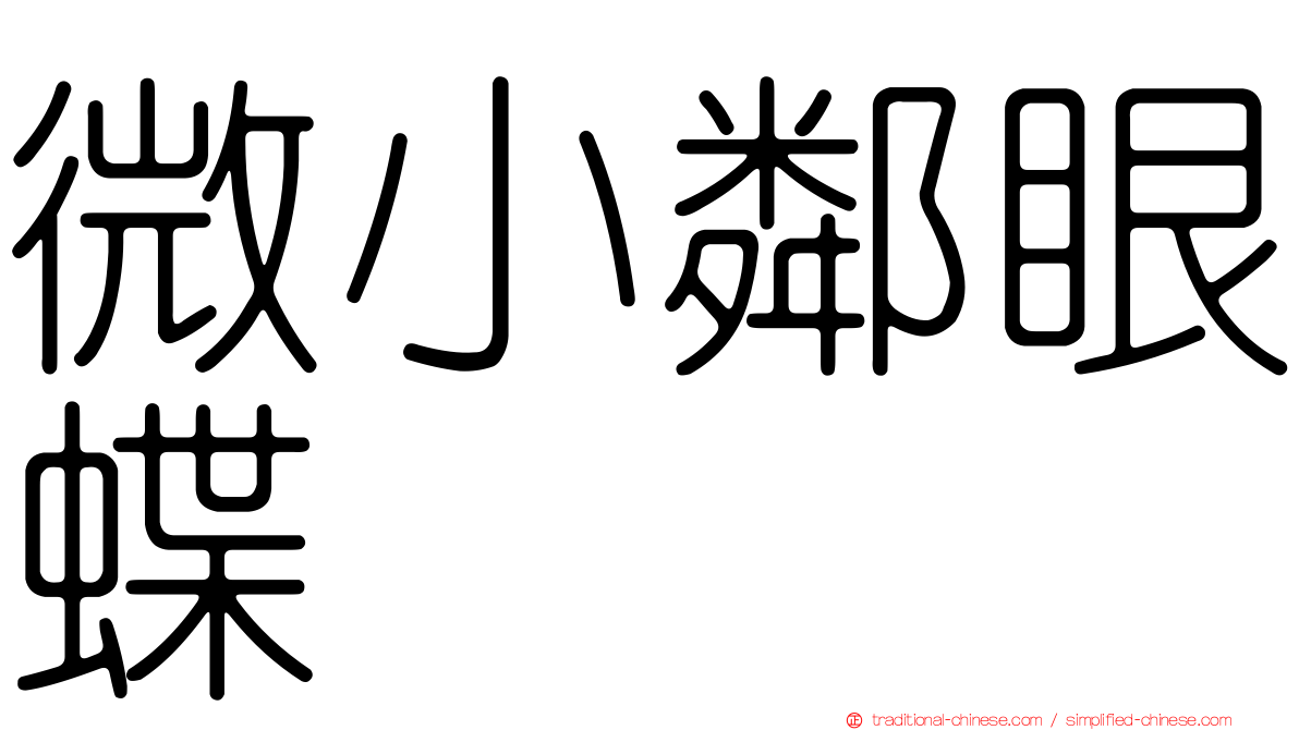微小鄰眼蝶
