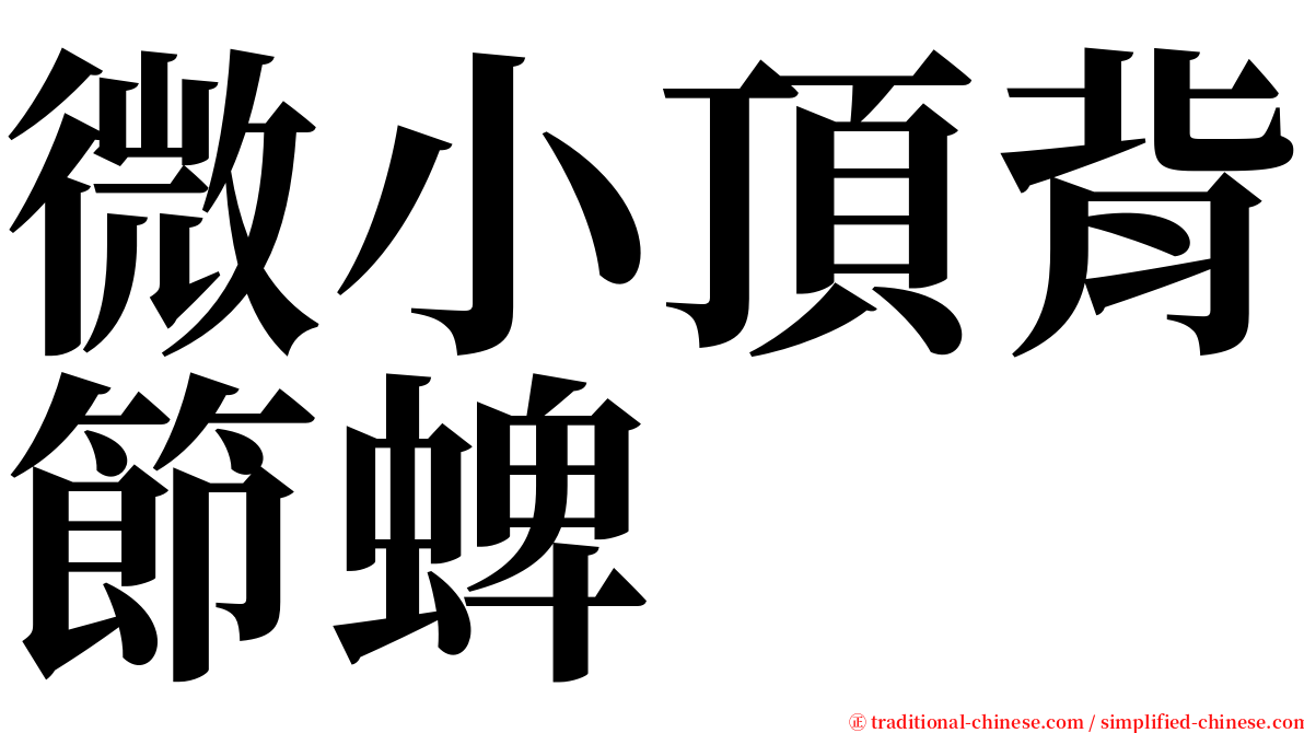 微小頂背節蜱 serif font