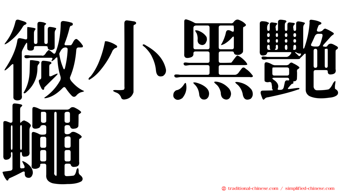 微小黑艷蠅