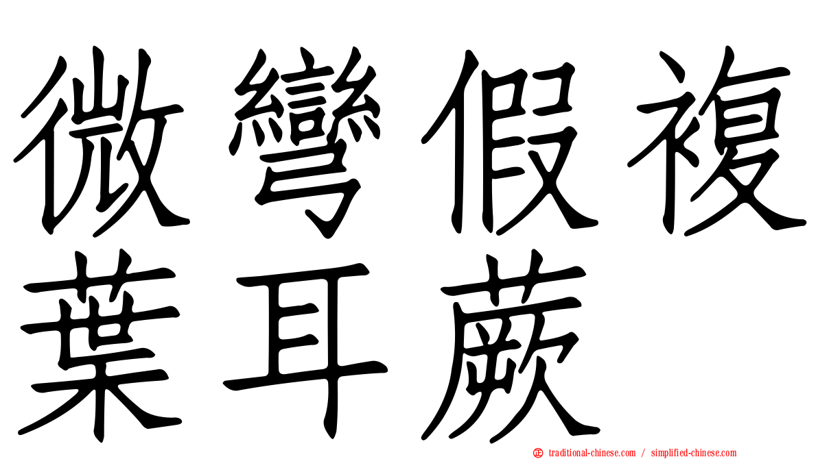 微彎假複葉耳蕨