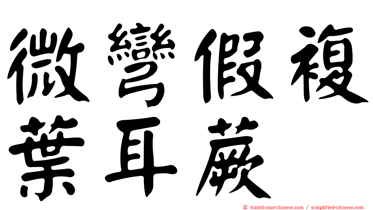 微彎假複葉耳蕨