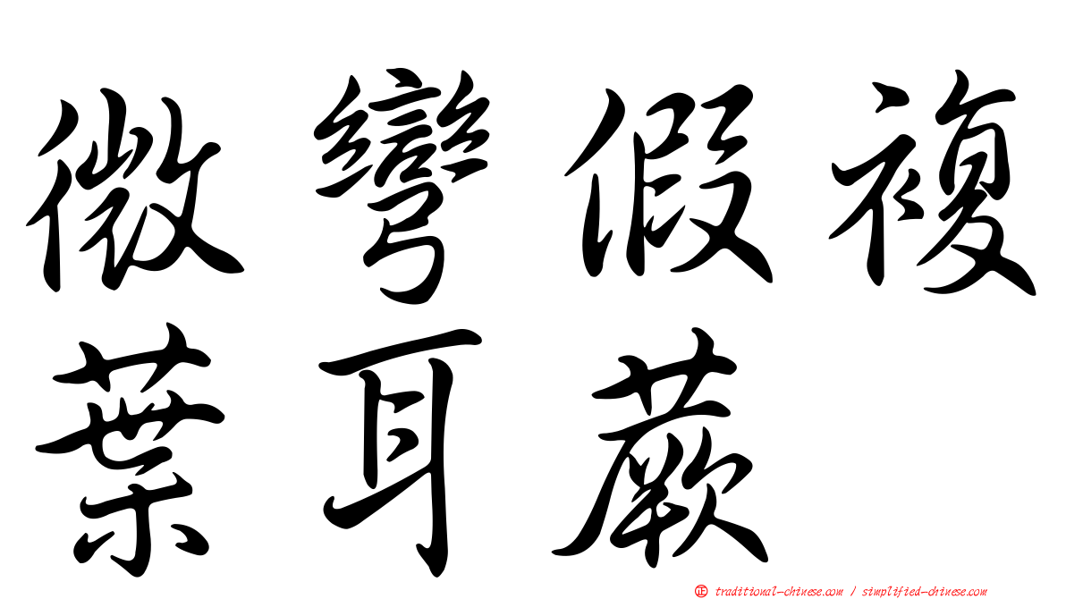 微彎假複葉耳蕨